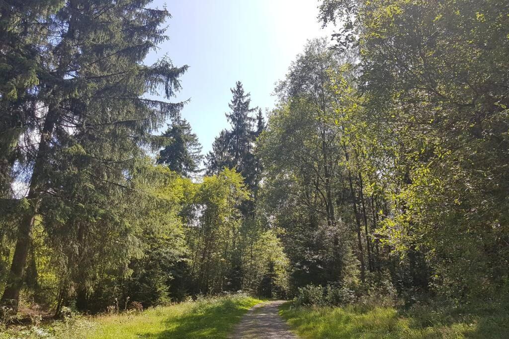 Altenauer Waldfrische Алтенау Екстериор снимка
